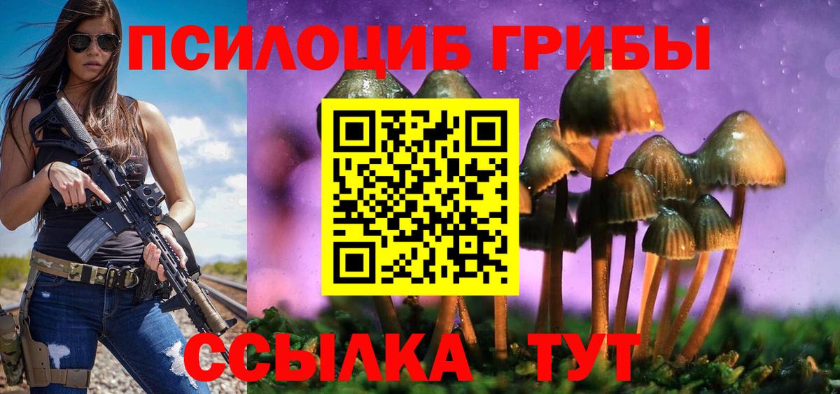 Галлюциногенные грибы GOLDEN TEACHER Тимашёвск