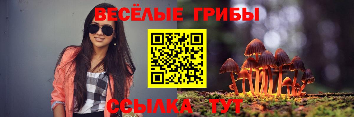 Тимашёвск  Галлюциногенные грибы Cubensis  Вход с VPN 